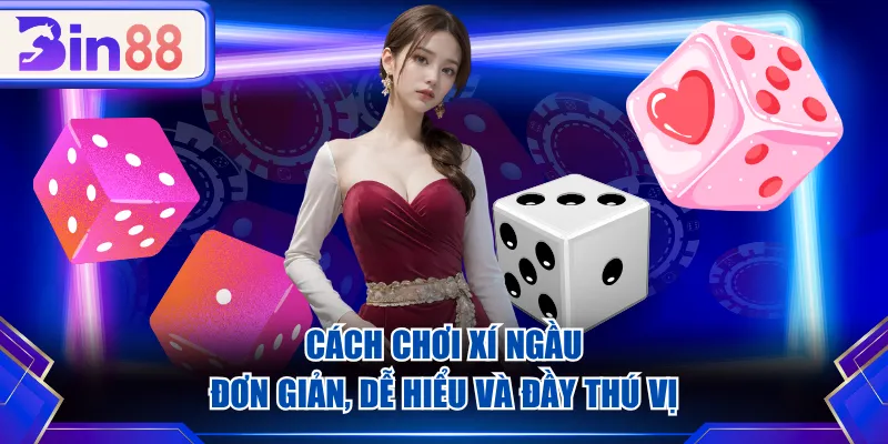 Cách chơi Xí Ngầu đơn giản, dễ hiểu và đầy thú vị
