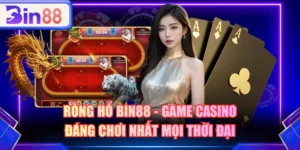 Rồng Hổ BIN88