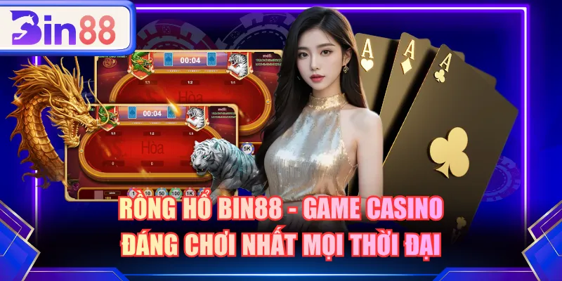 Rồng Hổ BIN88